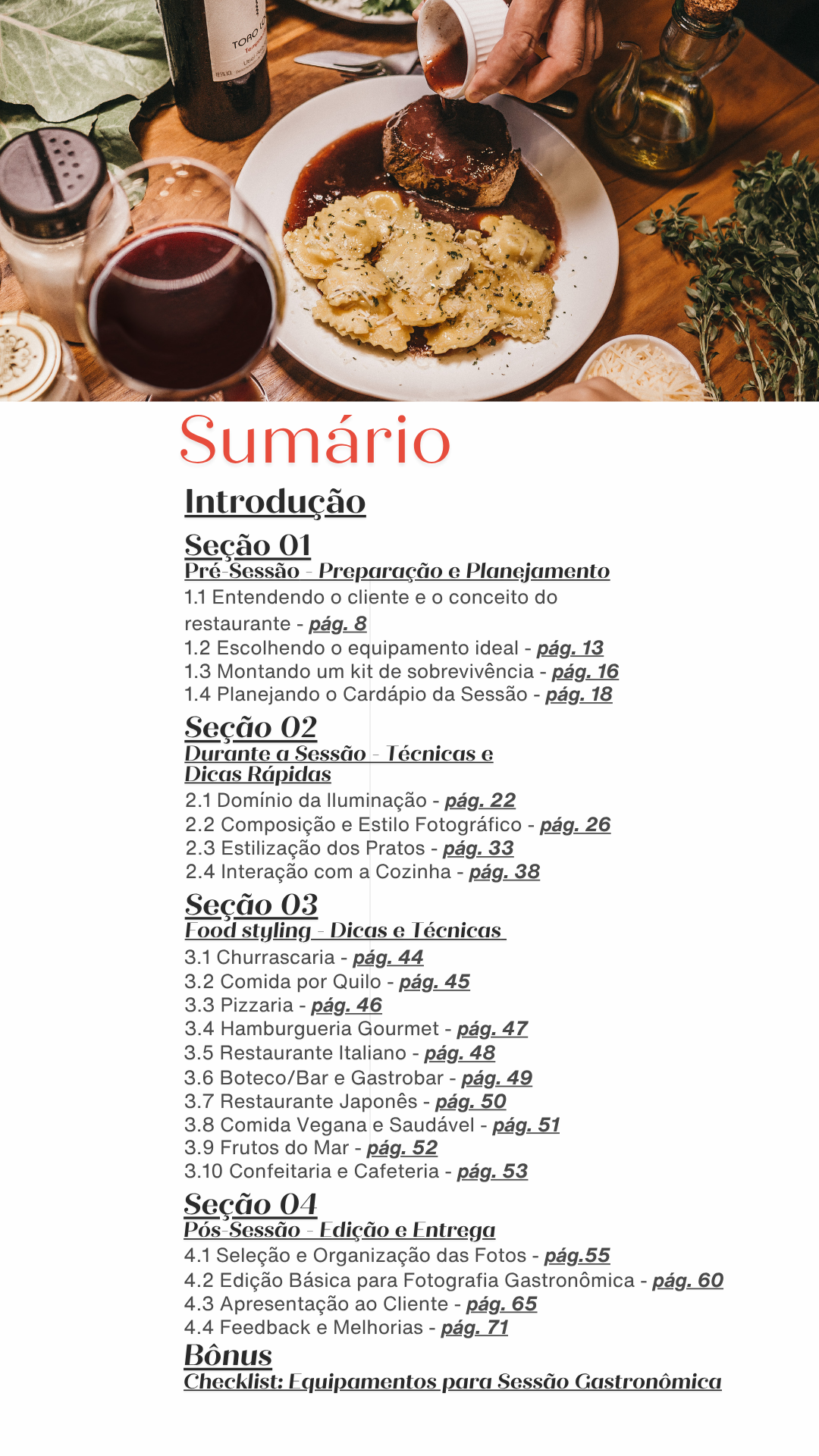 Página de sumário do guia, com as quatro seções e a numeração